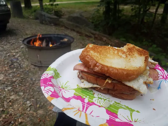 Bear's Pine Woods Campground & Resort Picture 6