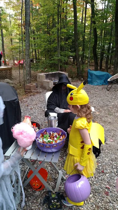 Bear's Pine Woods Campground & Resort Picture 7