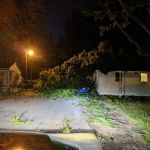 Sandy Island Family Camp