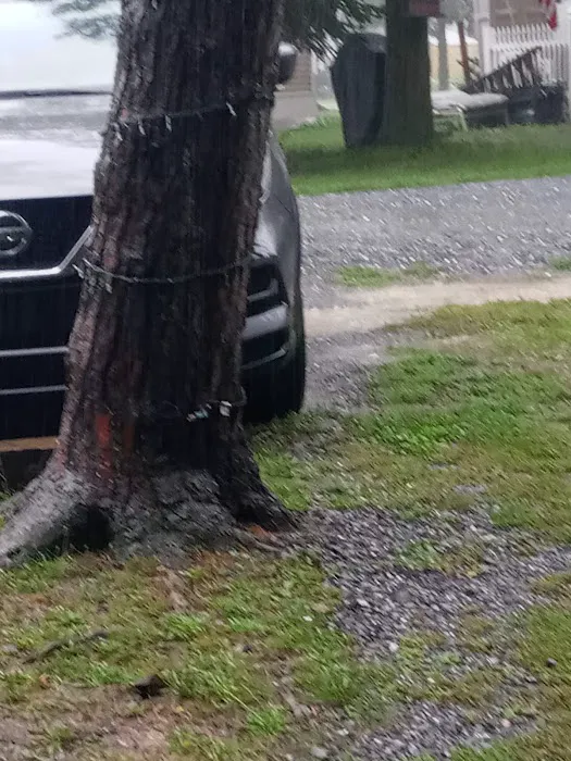 Whispering Pines Campground Picture 1