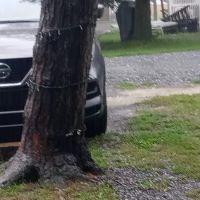 Whispering Pines Campground ico