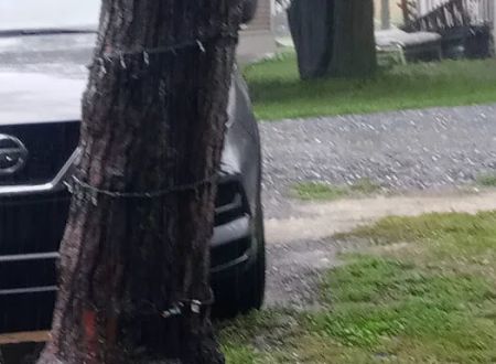 Whispering Pines Campground