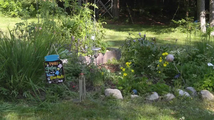 Groton Forest Rd Campground Picture 6