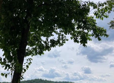 American Way RV Park - Parkersburg