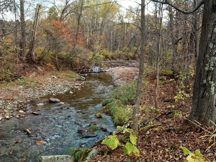 Gold Brook Campground Picture 4