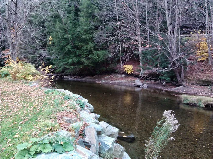 Gold Brook Campground Picture 5