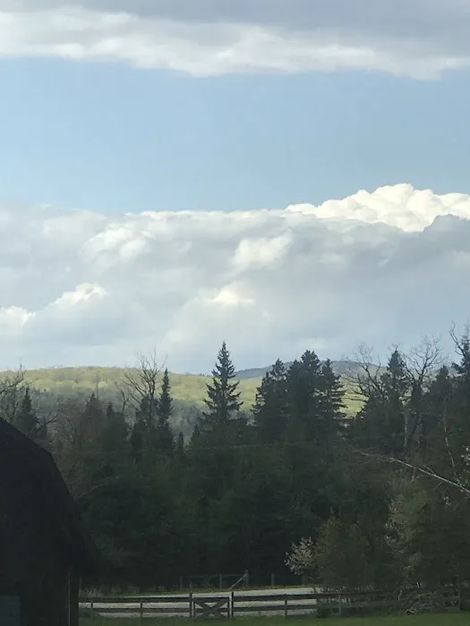 Vermont Freedom Campground Picture 8