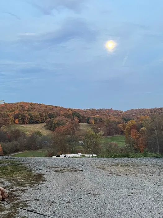 J&R Country Farm and RV Park Picture 3