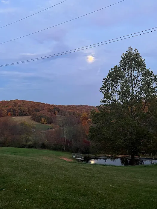 J&R Country Farm and RV Park Picture 2