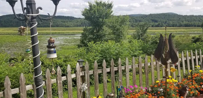 Adirondack Fish Tales Etc. Picture 2