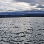 Agnes Island Campgrounds #1