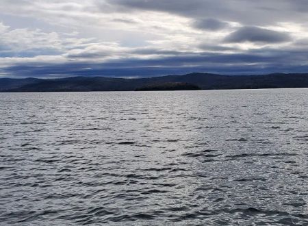 Agnes Island Campgrounds #1