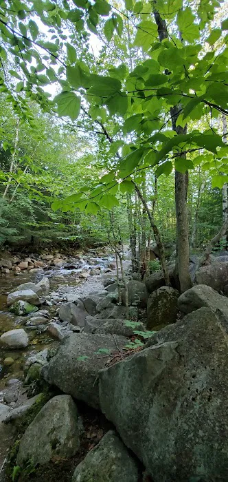 Lost River Valley Campground Picture 5