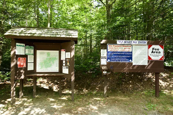Wildwood Campground and Picnic Area Picture 5