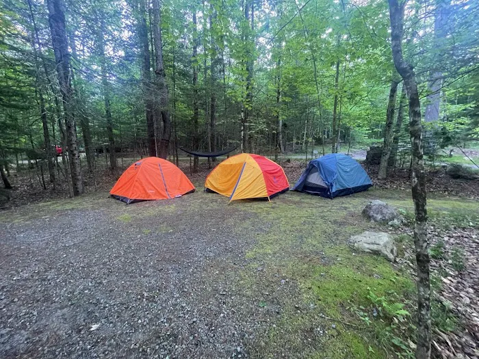 Wildwood Campground and Picnic Area Picture 3