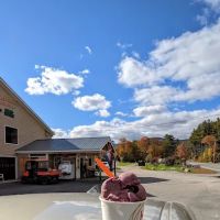Maple Haven Resort ico