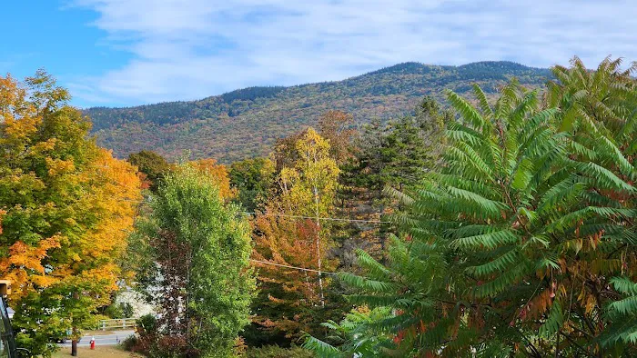 Maple Haven Resort Picture 6