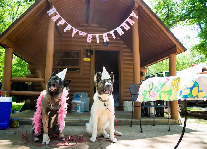 Boston / Cape Cod KOA Holiday Picture 9