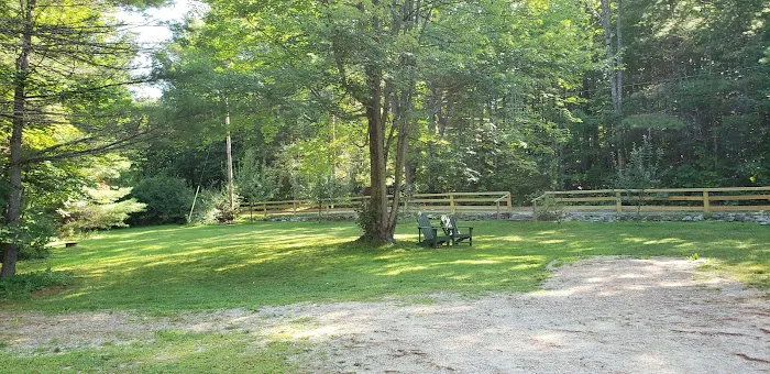 Willey Brook Campground Picture 6