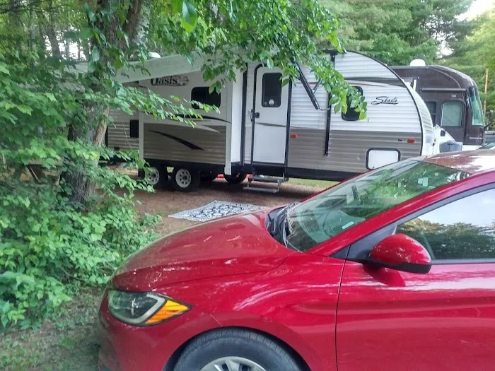 Willey Brook Campground Picture 8