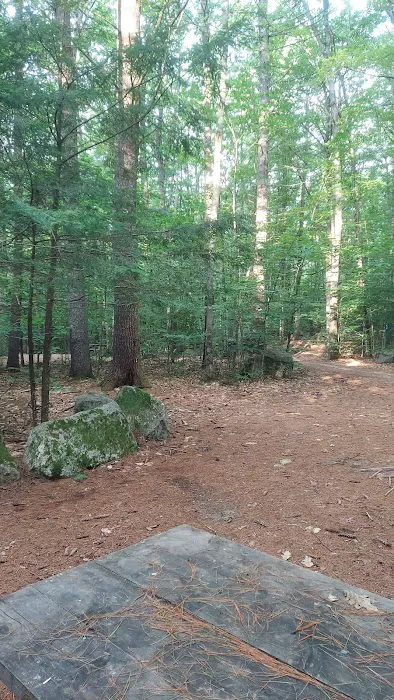 Wolfeboro Campground Picture 4