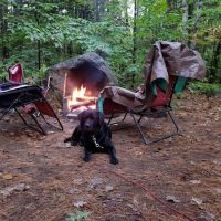 Wolfeboro Campground ico