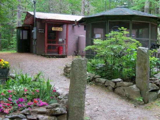 Wolfeboro Campground Picture 2