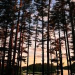 Pinewood Lodge Campground and Function Hall
