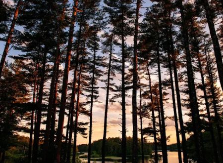 Pinewood Lodge Campground and Function Hall