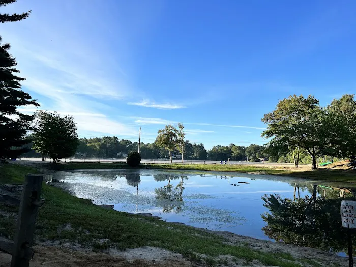 Ellis-Haven Campground Picture 4