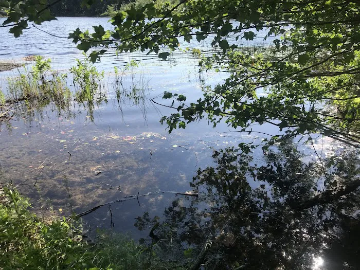 Ellis-Haven Campground Picture 8