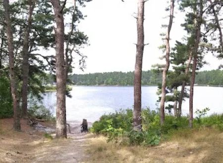 Curlew Pond campground