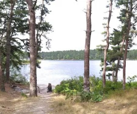 Curlew Pond campground