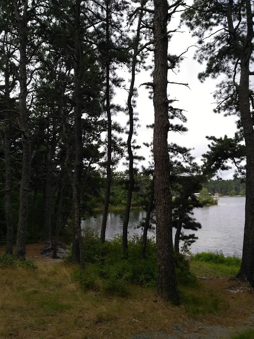 Curlew Pond campground Picture 2