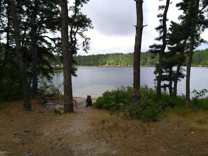 Curlew Pond campground Picture 5