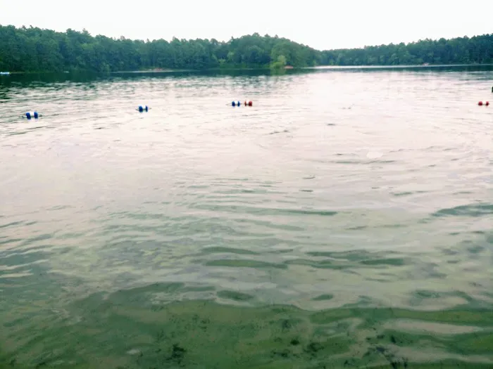 Curlew Pond campground Picture 3