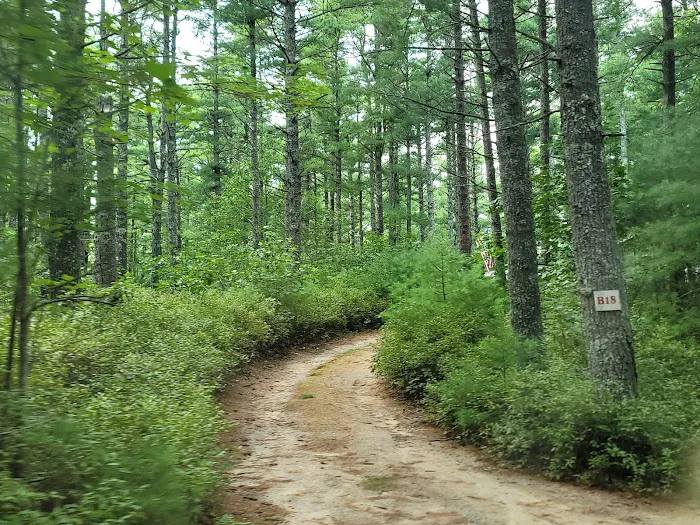Blueberry Hill Campground Picture 5