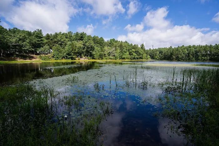 Yogi Bear's Jellystone Park Camp-Resort: Cranberry Acres in Carver, MA Picture 5