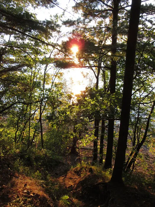 Wellesley Island State Campground Picture 5