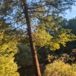 Wellesley Island Provincial Campground