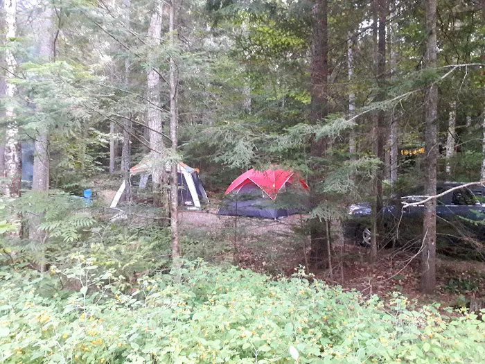 Lake Durant Campground Picture 9