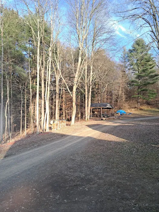 B-Bar-M Campground, LLC Picture 5