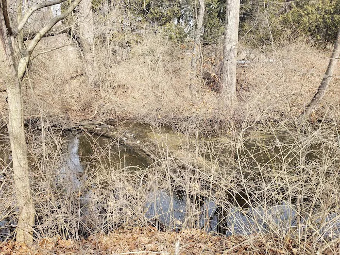 Arrowhead Lake Picture 5