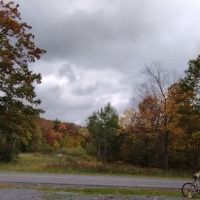 Camp Sheeley's ico