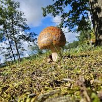DuBois/Treasure Lake KOA Holiday ico