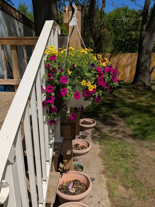 Chateau Estates Mobile Home Picture 6