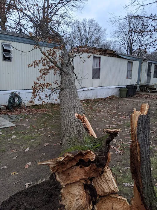 Chateau Estates Mobile Home Picture 1