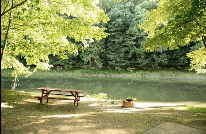 Riverhurst Park Campground Picture 9
