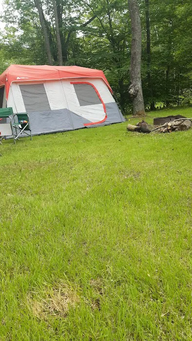Black Bear Campground Picture 3