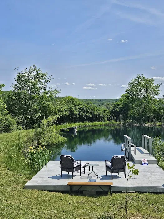 Oasis in the Allegheny's camping Picture 1
